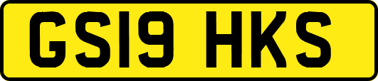 GS19HKS