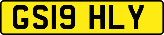 GS19HLY