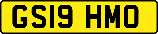 GS19HMO