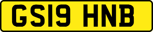 GS19HNB
