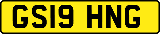 GS19HNG