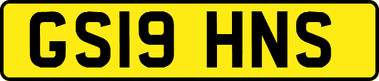 GS19HNS