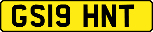 GS19HNT
