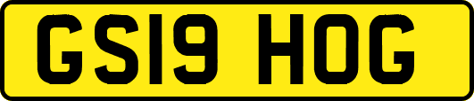 GS19HOG