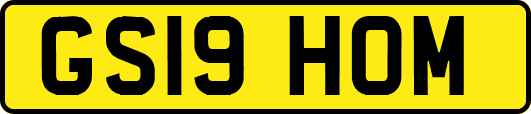 GS19HOM