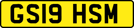 GS19HSM
