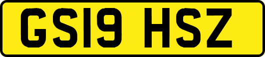 GS19HSZ
