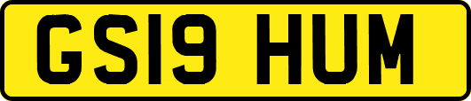 GS19HUM