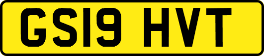 GS19HVT
