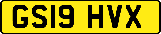 GS19HVX