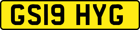 GS19HYG
