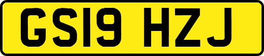 GS19HZJ
