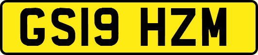 GS19HZM