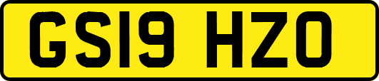 GS19HZO