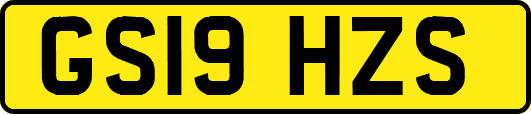 GS19HZS