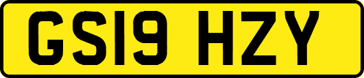 GS19HZY