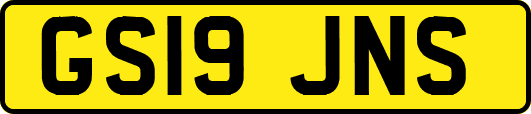 GS19JNS