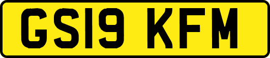 GS19KFM