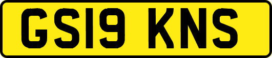 GS19KNS