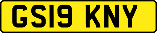 GS19KNY
