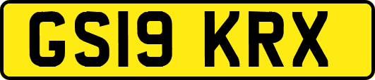 GS19KRX