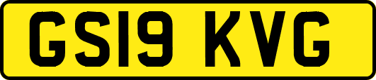 GS19KVG