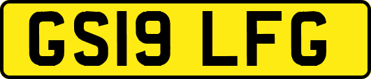 GS19LFG