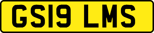 GS19LMS