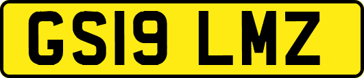 GS19LMZ