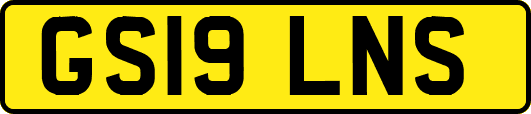 GS19LNS