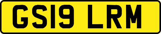 GS19LRM