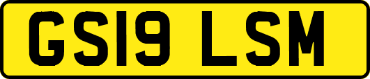 GS19LSM