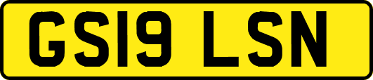 GS19LSN