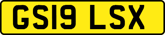 GS19LSX