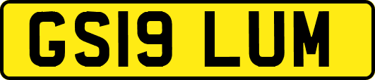 GS19LUM