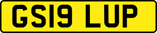 GS19LUP