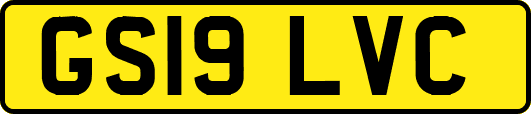 GS19LVC