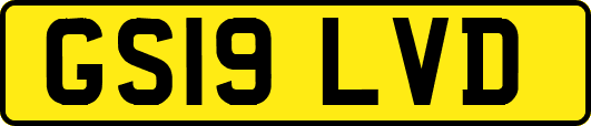 GS19LVD