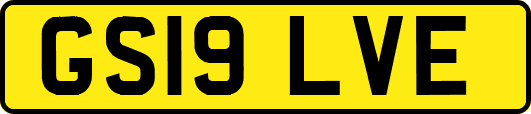 GS19LVE