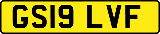 GS19LVF