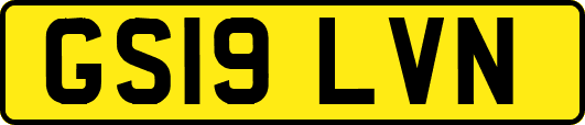 GS19LVN