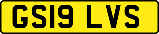 GS19LVS
