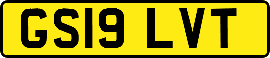 GS19LVT