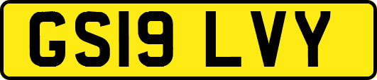 GS19LVY