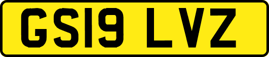 GS19LVZ