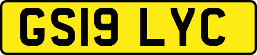 GS19LYC
