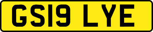 GS19LYE