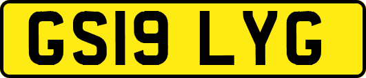 GS19LYG