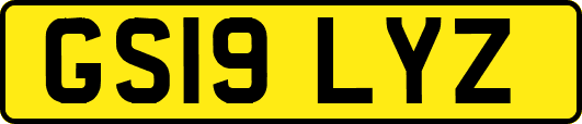GS19LYZ