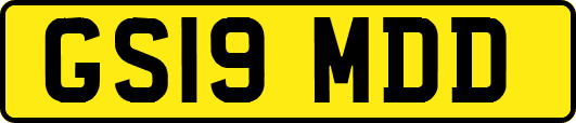 GS19MDD